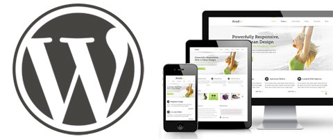 wordpress website