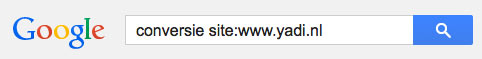 google zoeken op website