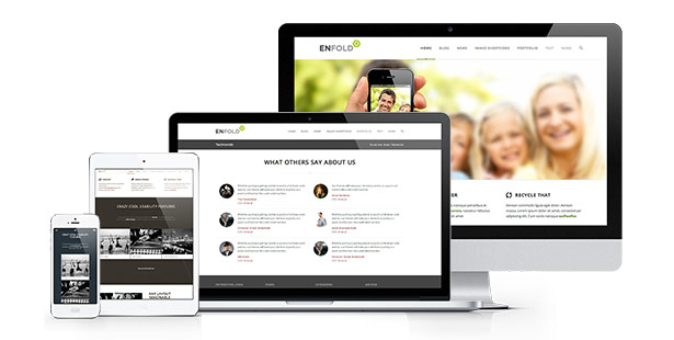 responsive wordpress website