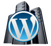 wordpress hosting