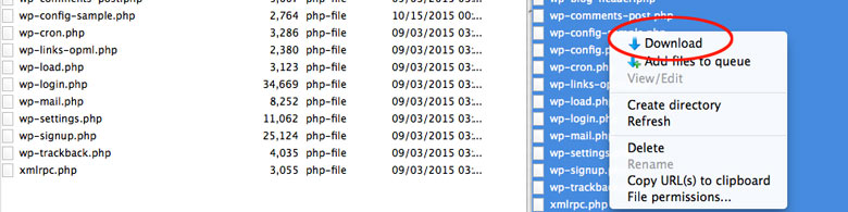 filezilla bestanden downloaden