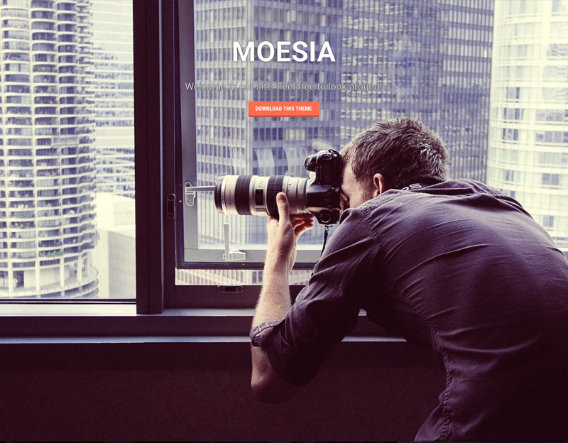 wordpress theme moesia