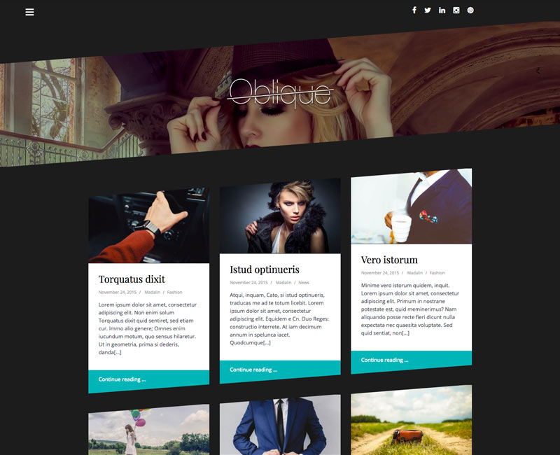 wordpress theme oblique