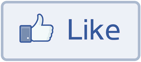 Facebook like button op je website