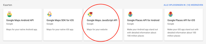 google api google maps kiezen