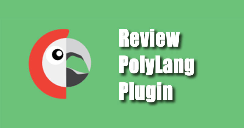 Review Polylang plugin