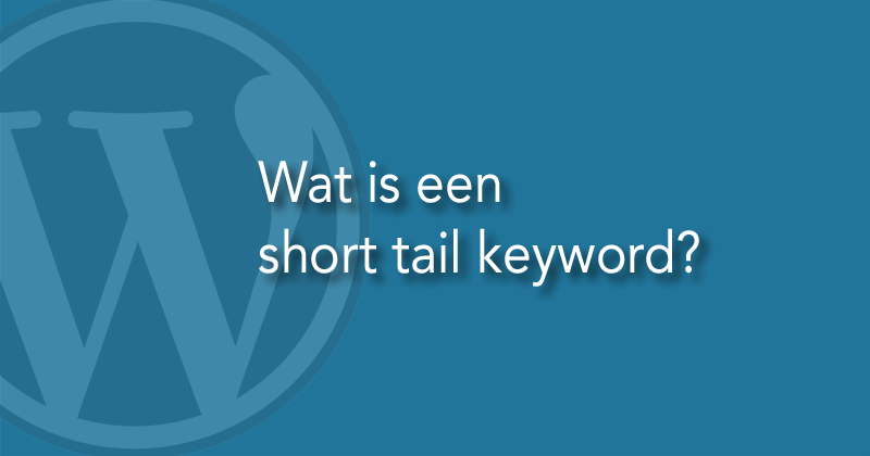 Wat is een short tail keyword?